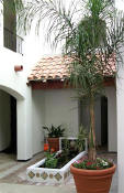 Pic1