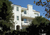 Pic1