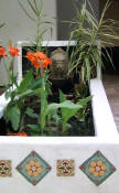 Pic1